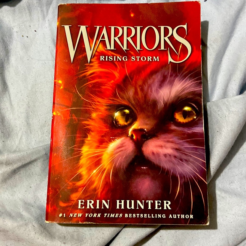 Warriors: The Prophecies Begin: Rising Storm